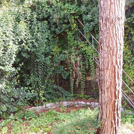 산타마르게리타리구레 Casa Tina 아파트 외부 사진