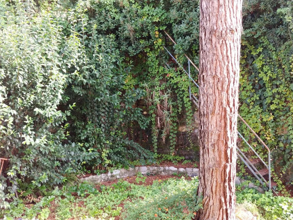 산타마르게리타리구레 Casa Tina 아파트 외부 사진